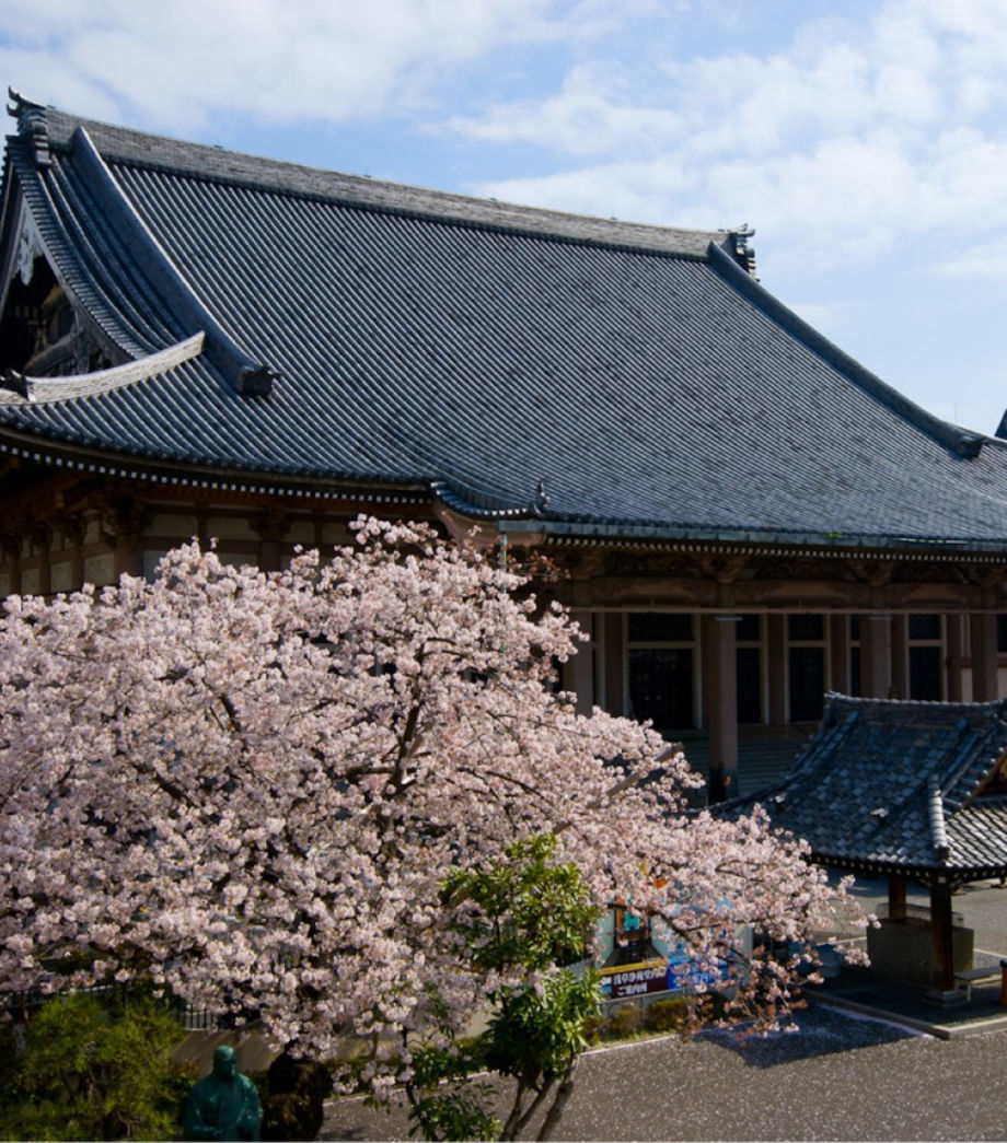 本部　学校法人東京大谷学園 本堂外観 X